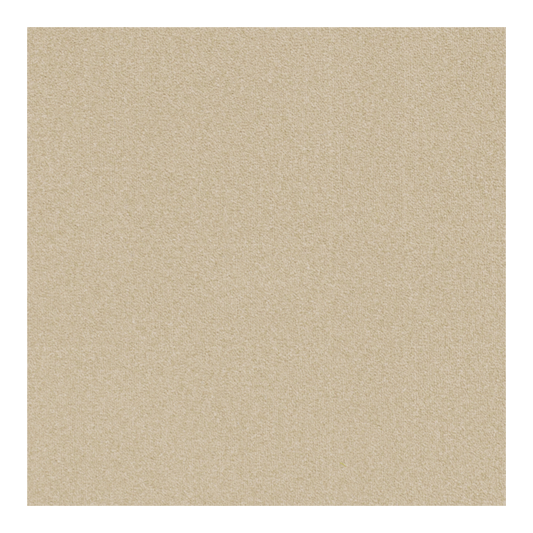Putty