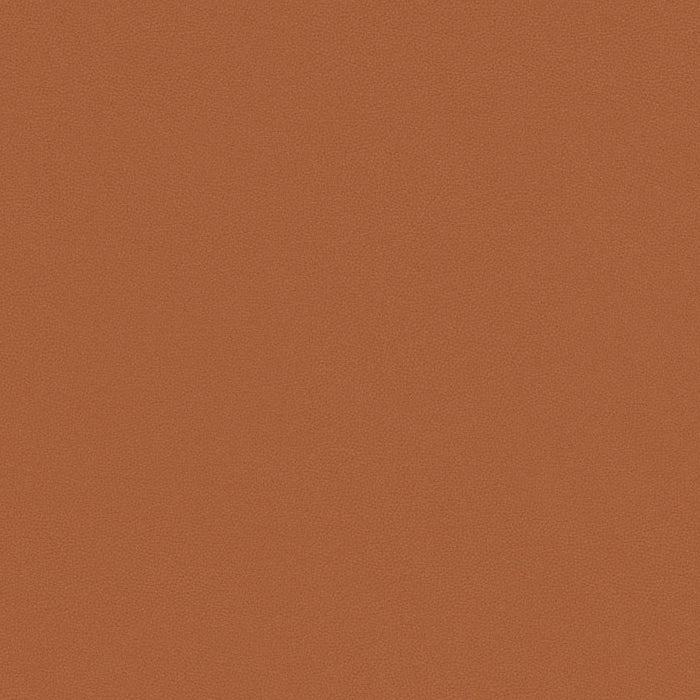 Enviroleather - Tan