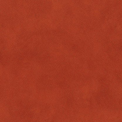Terracotta Velvet